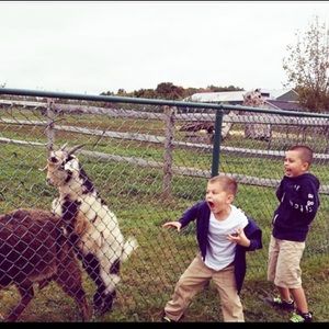 Meet your Posher, David